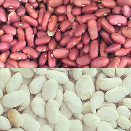 WHITE AND RED KIDNEY BEANS